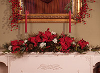 Amaryllis Arch or Centerpiece